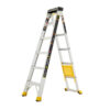 14 ft. Reach Aluminum 2-in-1 Extension Multi-Position Ladder with Project Bucket, 300 lbs. Capacity, Type 1A Duty Rating