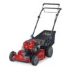 Gas Lawn Mower 22″